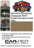 9063187K Sensational Champagne MATT Powdercoat Spray Paint 300g