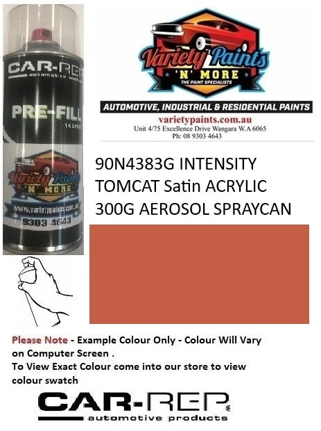 90N4383G INTENSITY TOMCAT Satin ACRYLIC 300G AEROSOL SPRAYCAN