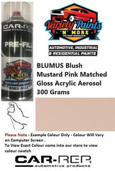 BLUMUS Blush Mustard Pink Matched Gloss Acrylic Aerosol 300 Grams