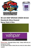 BS 224 DEEP BRONZE GREEN British Standards Gloss Enamel Spray Paint 4 litre