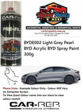 BYDE002 Light Grey Pearl BYD Acrylic BYD Spray Paint 300g