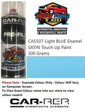 CAS507 Light BLUE Enamel SATIN Touch Up Paint 300 Grams