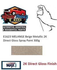 E1623 MELANGE Beige Metallic 2K Direct Gloss Spray Paint 300g