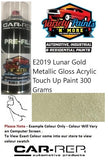 E2019 Lunar Gold Metallic Gloss Acrylic Touch Up Paint 300 Grams