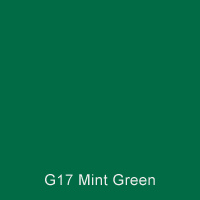 G17 Mint Green QD Gloss Enamel 1 Litre Australian Standard