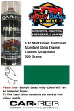 G17 Mint Green Australian Standard Gloss Enamel Custom Spray Paint 300 Grams