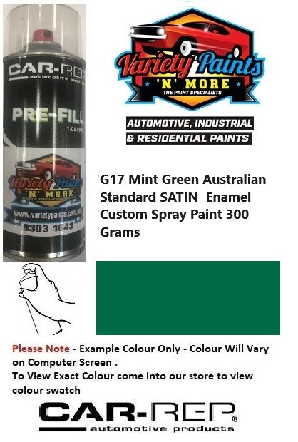 G17 Mint Green Australian Standard SATIN Enamel Custom Spray Paint 300 Grams