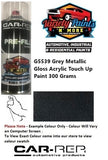 G5539 Grey Metallic Gloss Acrylic Touch Up Paint 300 Grams