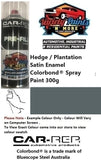 Hedge / Plantation Satin Enamel Colorbond® Spray Paint 300g