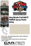 Hog Bristle Full Matt FINISH Spray Paint 300g