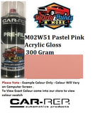 M02W51 Pastel Pink Acrylic Gloss 300 Gram