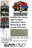 OLIGRV Olive Grove Matt To Match Kaboodle Custom Mixed Spray Paint Acrylic 300 Grams