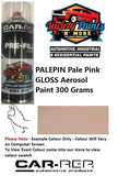 PALEPIN Pale Pink GLOSS Aerosol Paint 300 Grams