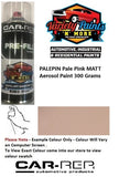 PALEPIN Pale Pink MATT Aerosol Paint 300 Grams