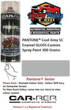 PANTONE® Cool Grey 5C GLOSS Enamel Custom Spray Paint 300 Grams