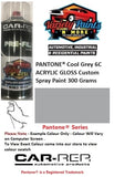 PANTONE® Cool Grey 6C ACRYLIC GLOSS Custom Spray Paint 300 Grams 