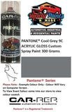 PANTONE® Cool Grey 9C ACRYLIC GLOSS Custom Spray Paint 300 Grams