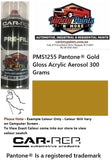 PMS1255 Pantone® Gold Gloss Acrylic Aerosol 300 Grams