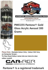PMS1255 Pantone® Gold Gloss Acrylic Aerosol 300 Grams