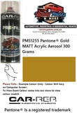 PMS1255 Pantone® Gold MATT Acrylic Aerosol 300 Grams