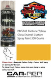 PMS143 Pantone Yellow Gloss Enamel Custom Spray Paint 300 Grams