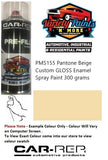 PMS155 Pantone BEIGE Custom Gloss Enamel Spray Paint 300 grams