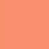 PMS1635 Pantone® Peach MATT Acrylic Spray Paint 300 grams