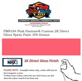 PMS184 Pink Pantone® Custom 2K Direct Gloss Spray Paint 300 Grams