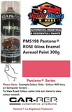 PMS198 Pantone® Rose Gloss Enamel Paint 300 Grams