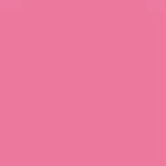 PMS204c Pantone® ROSE 2K DIRECT GLOSS Pantone Custom Spray Paint 300 Grams