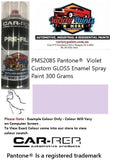 PMS2085 Pantone®  Violet Custom Gloss Enamel Spray Paint 300 Grams