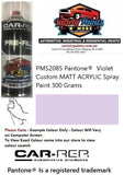 PMS2085 Pantone®  Violet Custom MATT ACRYLIC Spray Paint 300 Grams