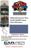 PMS2140 Pantone® Blue GLOSS ENAMEL Spray Paint 300 Grams