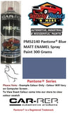 PMS2140 Pantone® Blue MATT ENAMEL Spray Paint 300 Grams