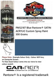 PMS2187 Blue Pantone® SATIN ACRYLIC Custom Spray Paint 300 Grams