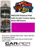 PMS2395 Pantone Pink Satin Acryic Custom Spray Paint 300 Grams