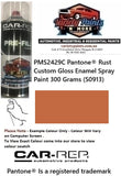 PMS2429C Pantone® Rust Custom Gloss Enamel Spray Paint 300 Grams (S0913)