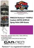 PMS254 Pantone® PURPLE Custom SATIN Acrylic Spray Paint 300 Grams