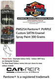 PMS254 Pantone® PURPLE Custom SATIN Enamel Spray Paint 300 Grams