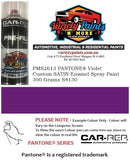 PMS2613 PANTONE®  Violet Custom SATIN Enamel Spray Paint 300 Grams S4130