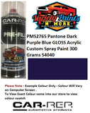 PMS2765 Pantone Dark Purple Blue GLOSS ENAMEL Custom Spray Paint 300 Grams S4040