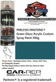 PMS3165 PANTONE® Green Gloss Acrylic Custom Spray Paint 300g