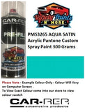 PMS3265 AQUA SATIN Acrylic Pantone Custom Spray Paint 300 Grams