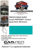 PMS326 AQUA GLOSS Acrylic PANTONE® Custom Spray Paint 300 Grams