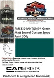 PMS330 PANTONE® Green Matt Enamel Custom Spray Paint 300g