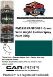 PMS330 PANTONE® Green Satin Acrylic Custom Spray Paint 300g