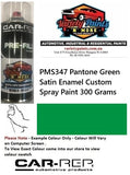 PMS347 Pantone Green Satin Enamel Custom Spray Paint 300 Grams