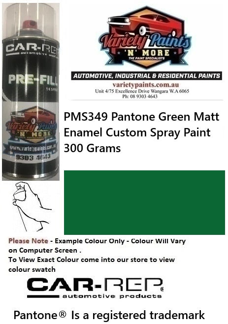 PMS349 Pantone Green Matt Enamel Custom Spray Paint 300 Grams