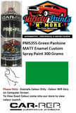 PMS355 Green Pantone MATT Enamel Custom Spray Paint 300 Grams