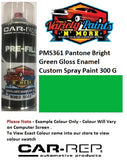 PMS361 Pantone Bright Green Gloss Enamel Custom Spray Paint 300 Grams
